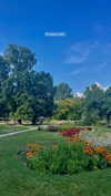 lital.oss Altpins Profile Picture