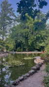 lital.oss Altpins Profile Picture