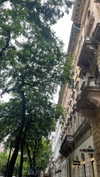 lital.oss Altpins Profile Picture