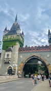 lital.oss Altpins Profile Picture