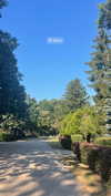 lital.oss Altpins Profile Picture