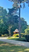 lital.oss Altpins Profile Picture