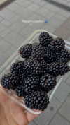 lital.oss Altpins Profile Picture