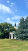 lital.oss Altpins Profile Picture