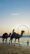 lital.oss Altpins Profile Picture