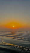 lital.oss Altpins Profile Picture