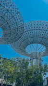 lital.oss Altpins Profile Picture