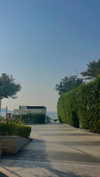 lital.oss Altpins Profile Picture