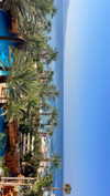 lital.oss Altpins Profile Picture