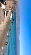 lital.oss Altpins Profile Picture