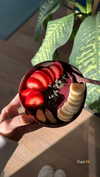 lital.oss Altpins Profile Picture