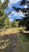 lital.oss Altpins Profile Picture
