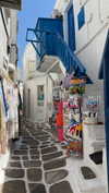lital.oss Altpins Profile Picture