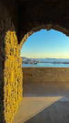 lital.oss Altpins Profile Picture
