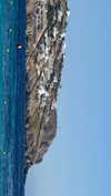 lital.oss Altpins Profile Picture