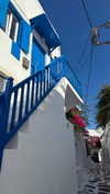 lital.oss Altpins Profile Picture
