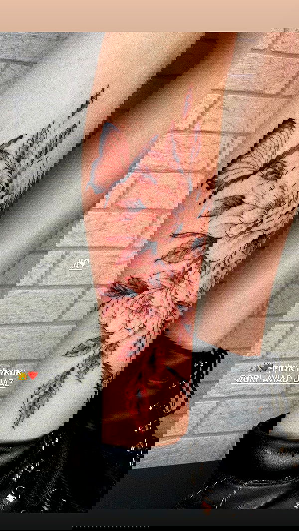 lital.shli lital.shli archive image