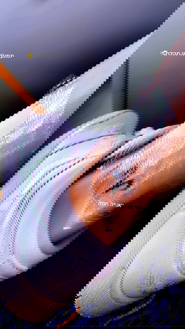 lital.shli lital.shli archive image