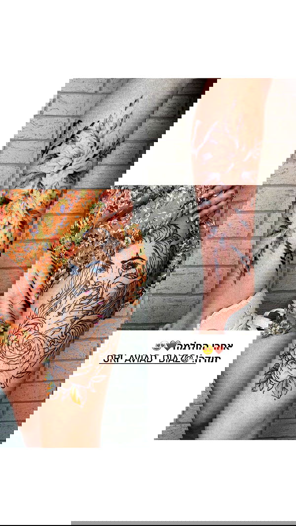 lital.shli lital.shli archive image