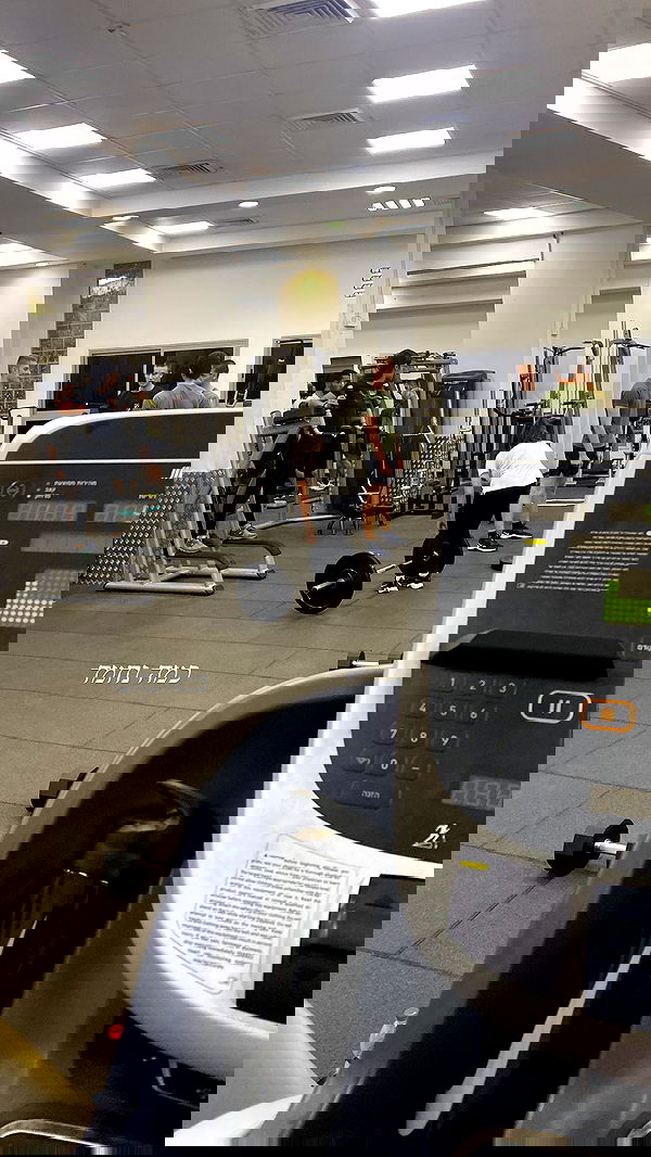 lital.shli lital.shli archive image