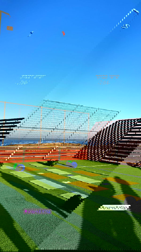 lital.shli lital.shli archive image