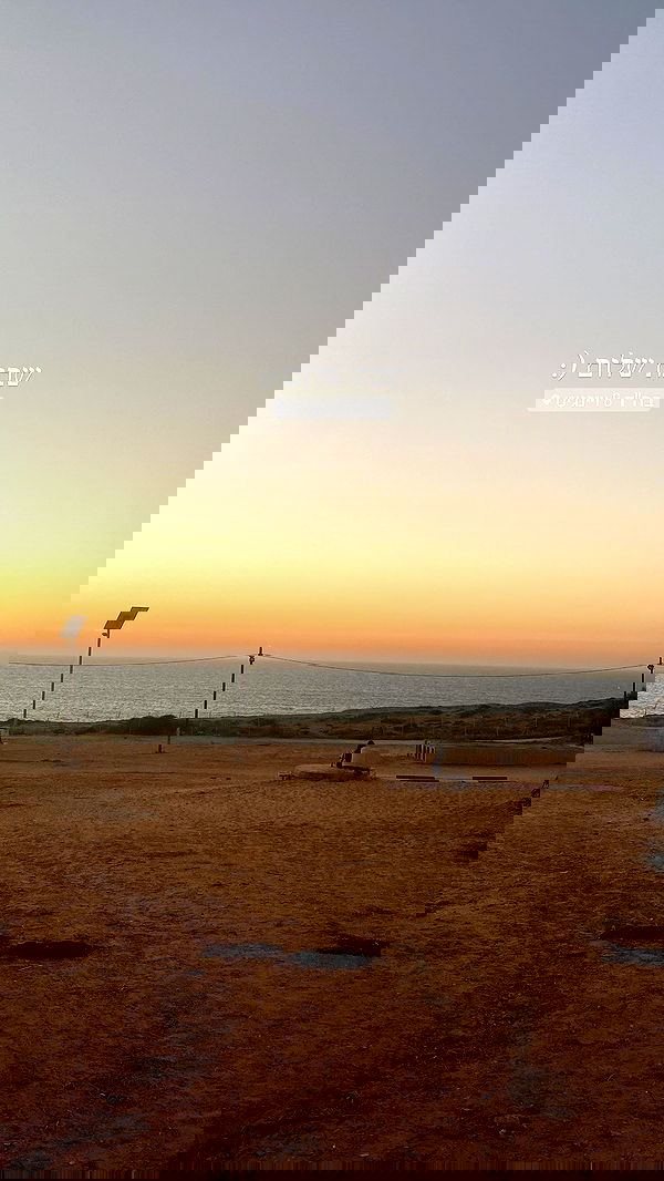 lital.shli lital.shli archive image