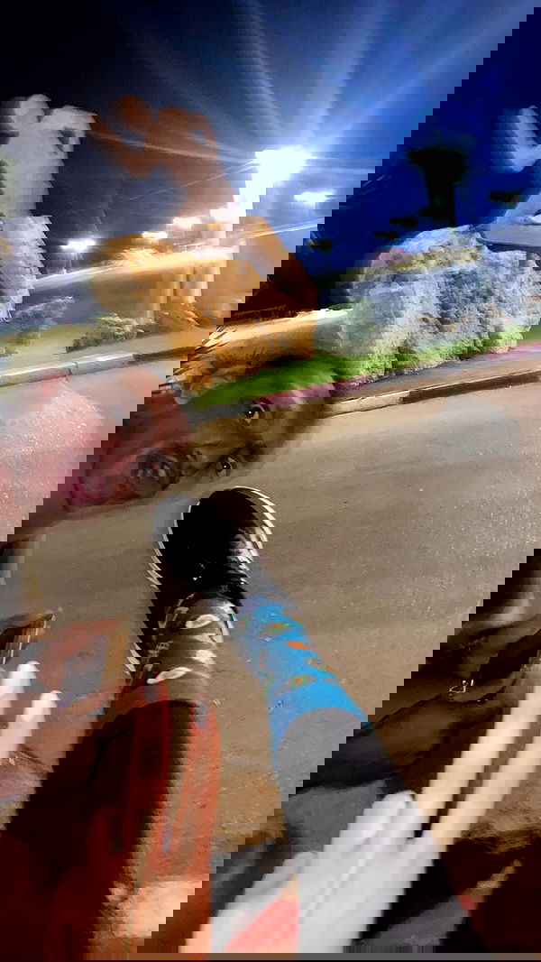 lital.shli lital.shli archive image