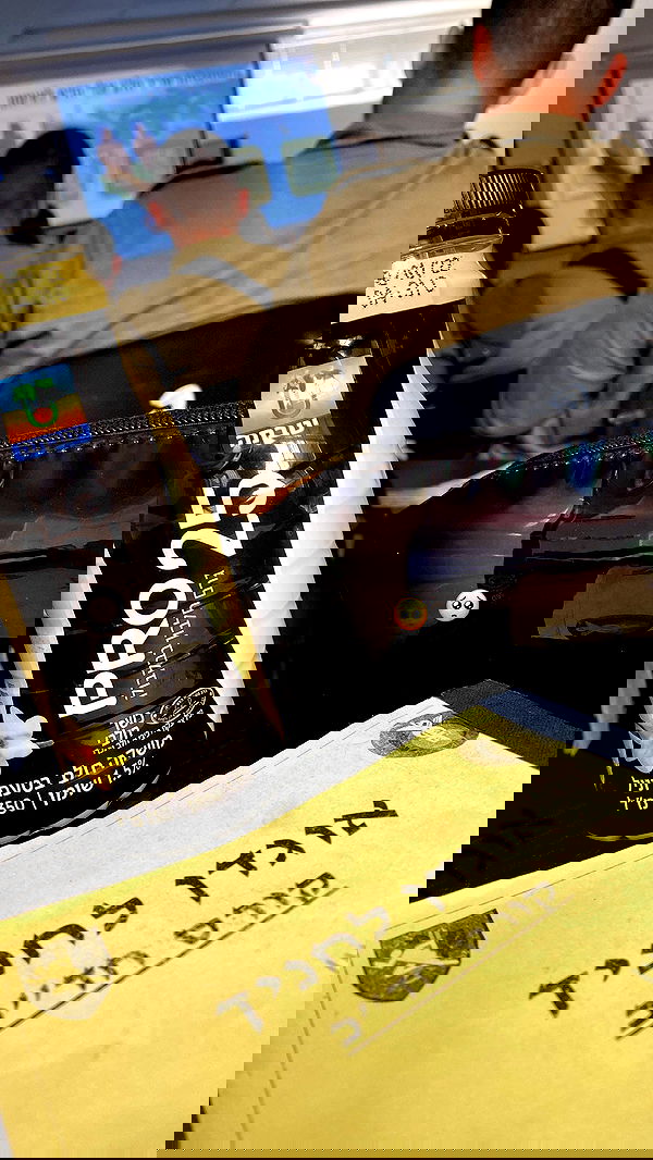 lital.shli lital.shli archive image