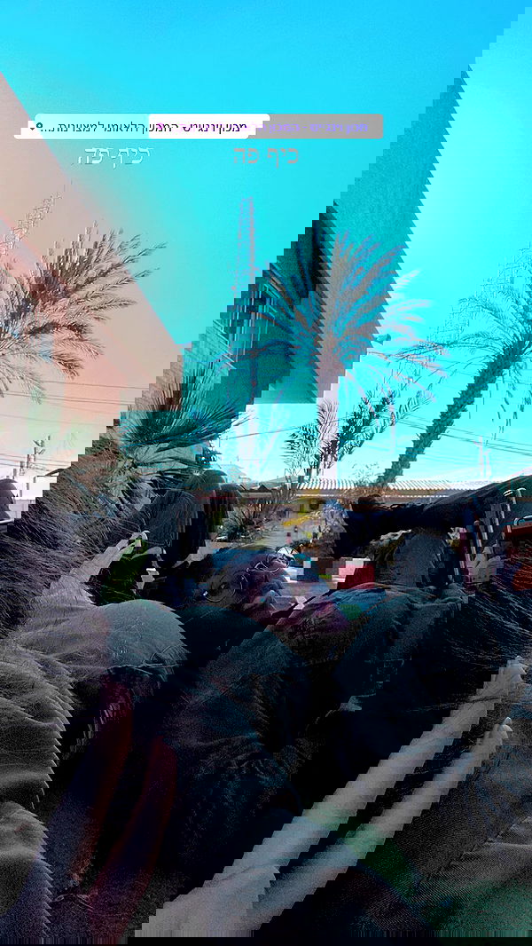 lital.shli lital.shli archive image