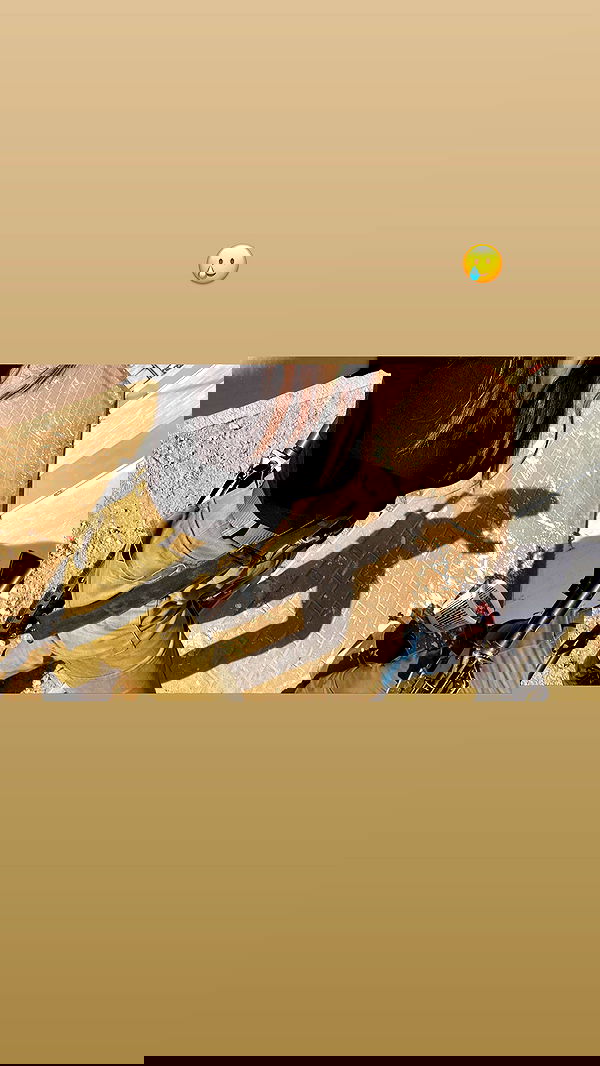 lital.shli lital.shli archive image