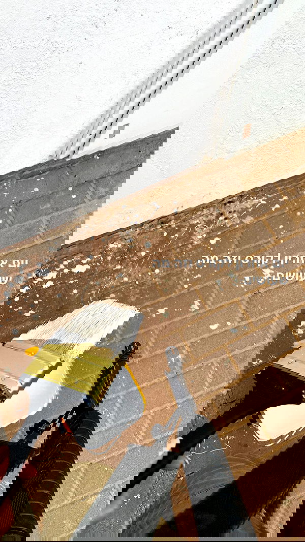 lital.shli lital.shli archive image