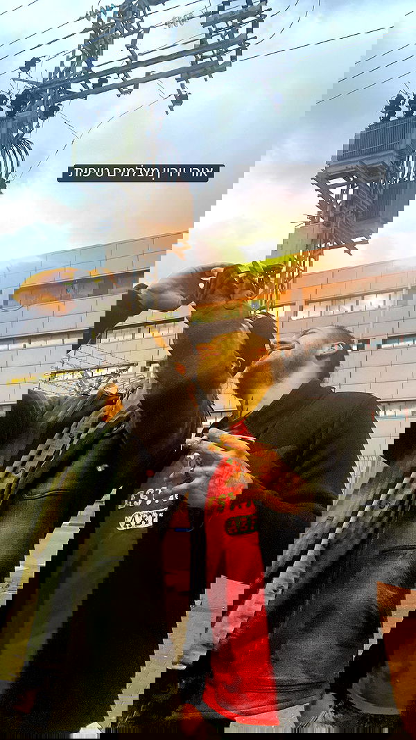 lital.shli lital.shli archive image