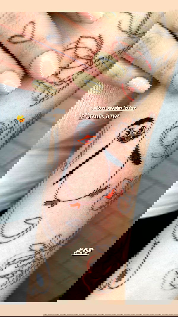 lital.shli lital.shli archive image