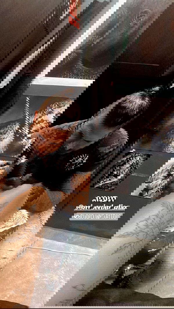 lital.shli lital.shli archive image