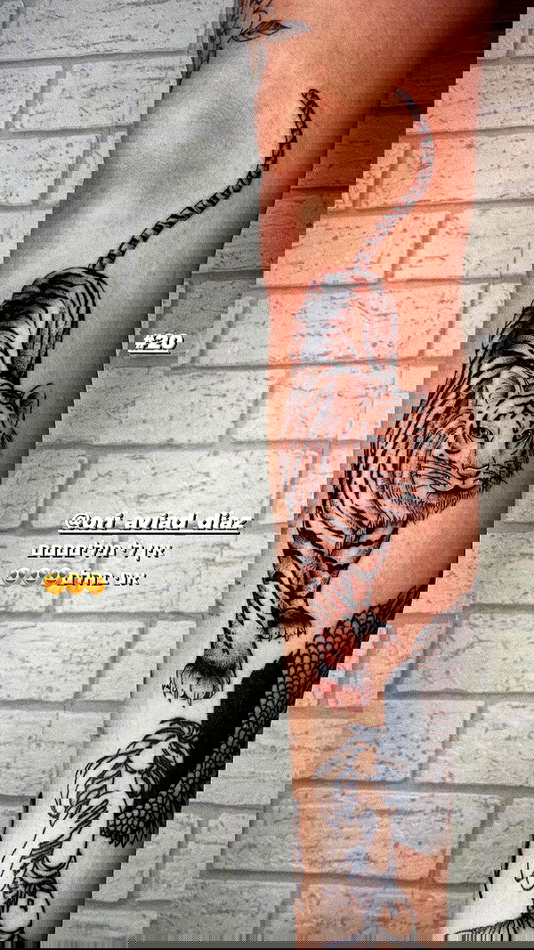 lital.shli lital.shli archive image