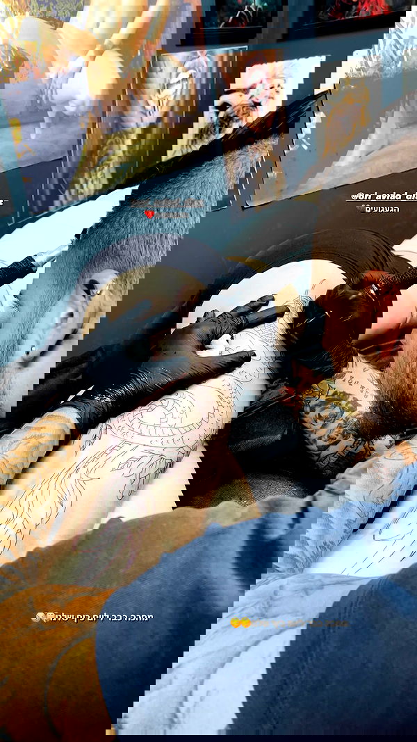 lital.shli lital.shli archive image