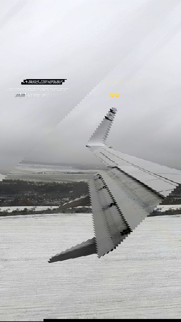 lital.shli lital.shli archive image