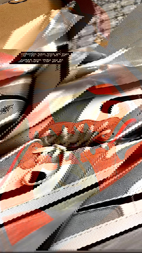 lital.shli lital.shli archive image