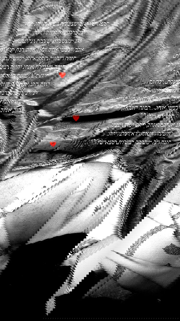 lital.shli lital.shli archive image