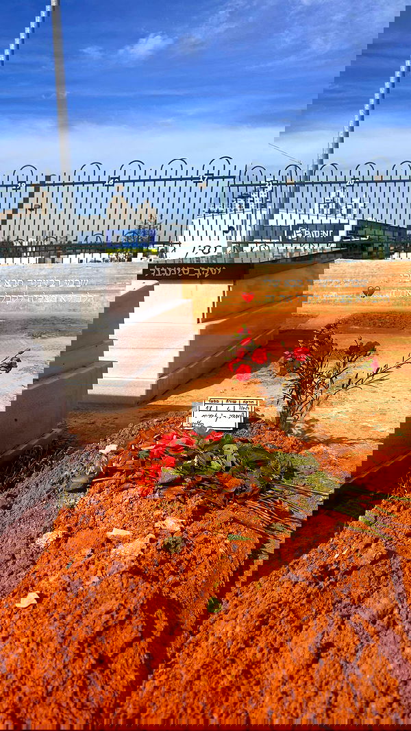 lital.shli lital.shli archive image