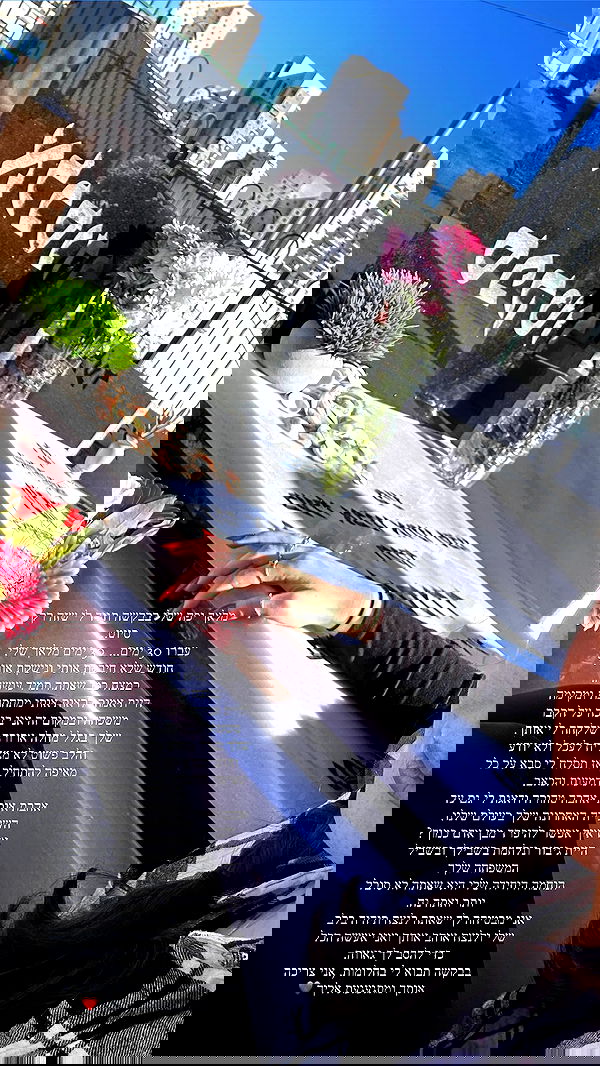 lital.shli lital.shli archive image