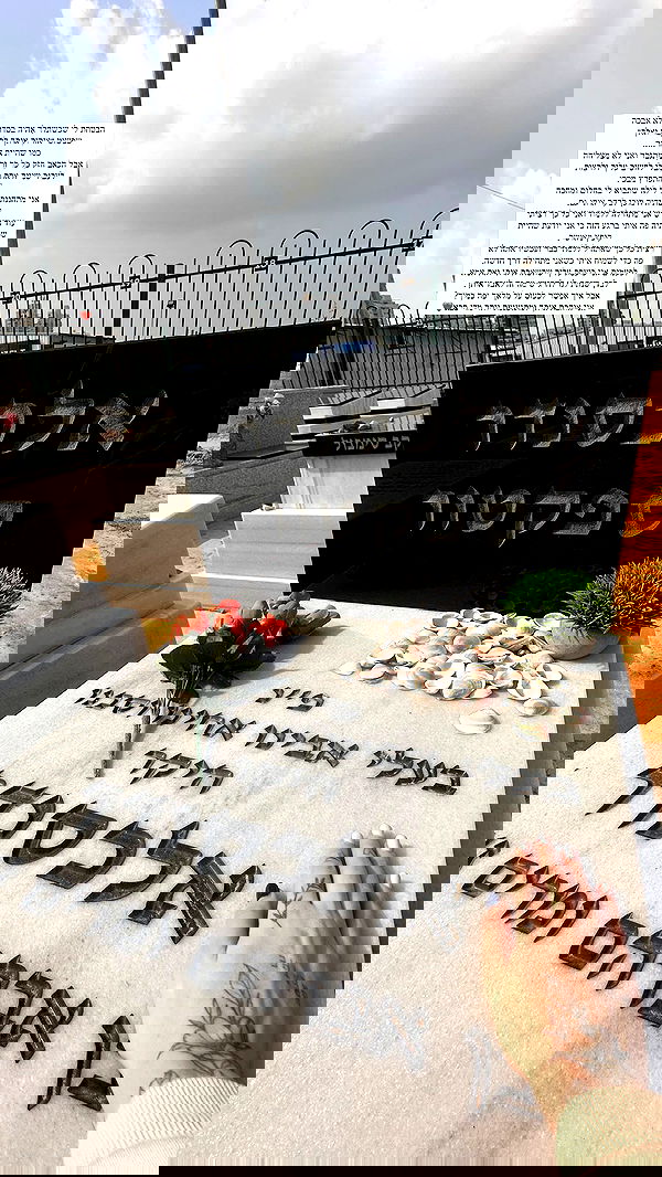 lital.shli lital.shli archive image