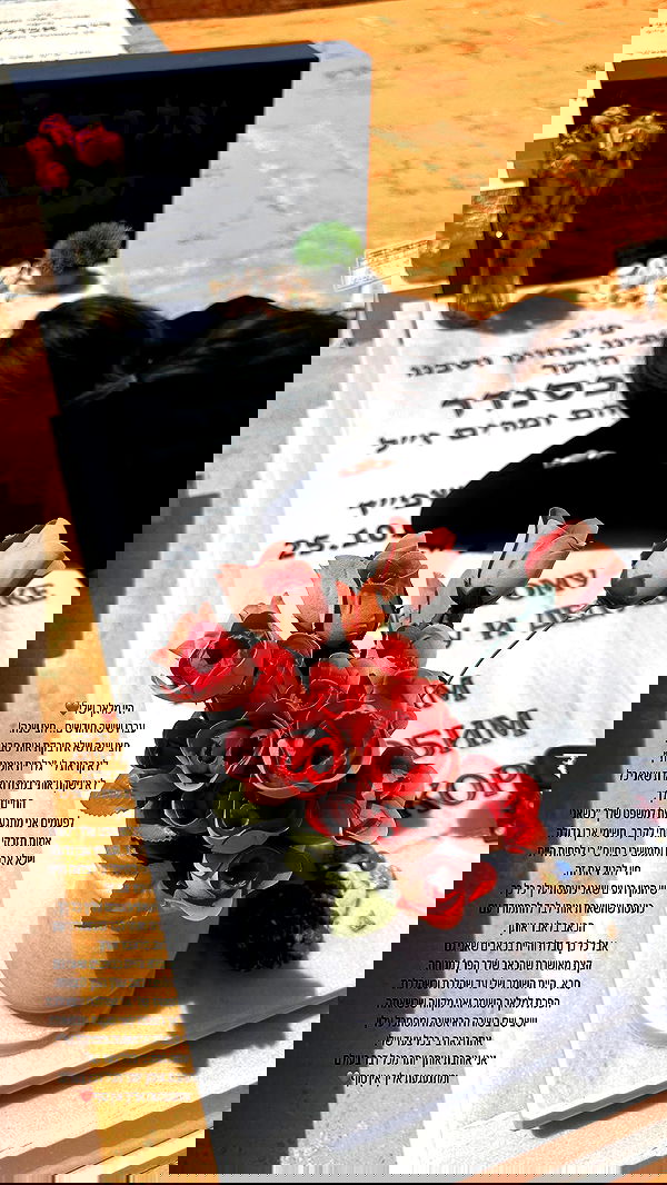 lital.shli lital.shli archive image