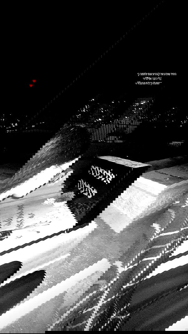 lital.shli lital.shli archive image