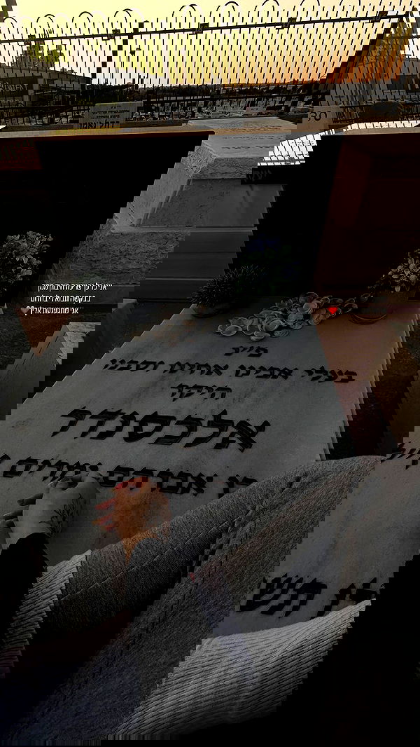 lital.shli lital.shli archive image