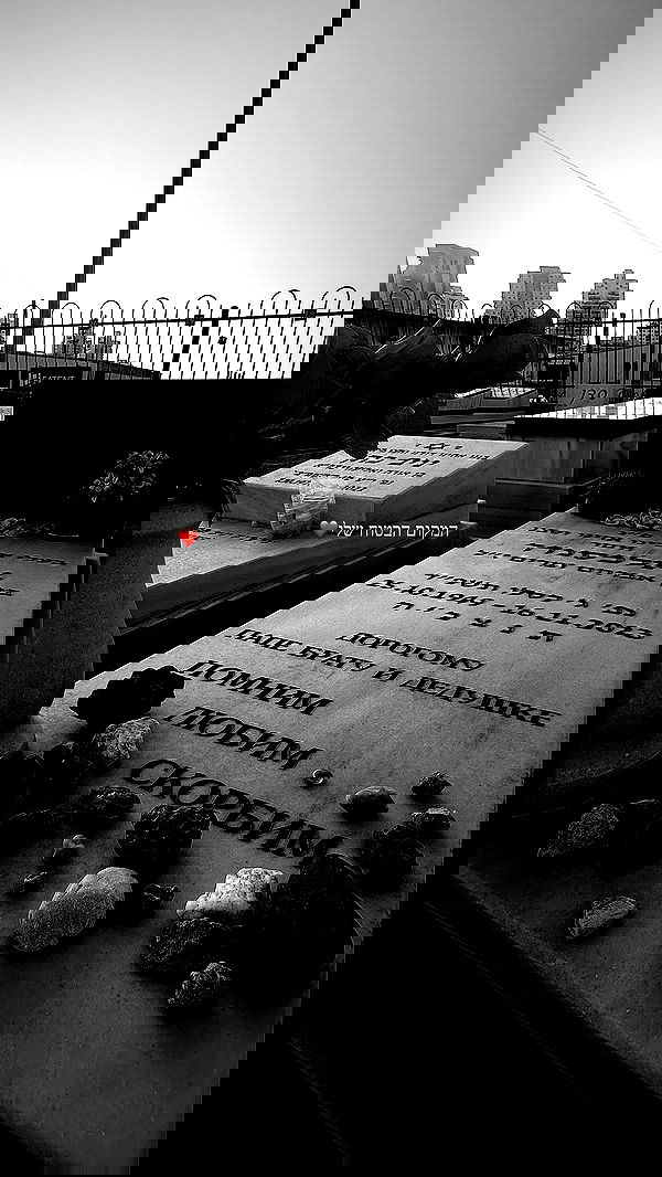 lital.shli lital.shli archive image