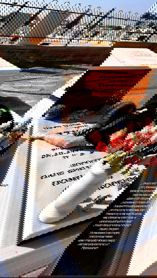 lital.shli lital.shli archive image