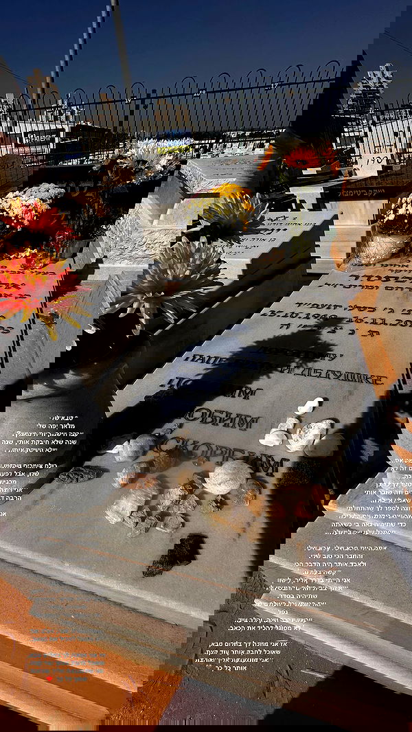 lital.shli lital.shli archive image