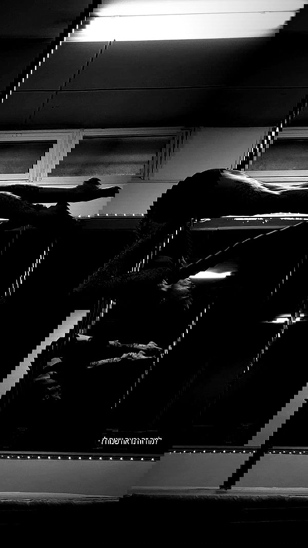 lital.shli lital.shli archive image