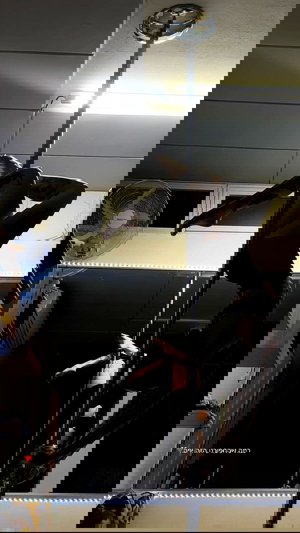 lital.shli lital.shli archive image